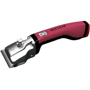 Cordless & Rechargeable